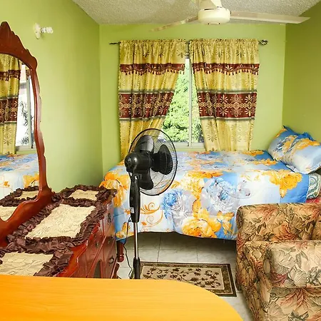 Angel'S Apartment Jamaica Kingston Exterior foto